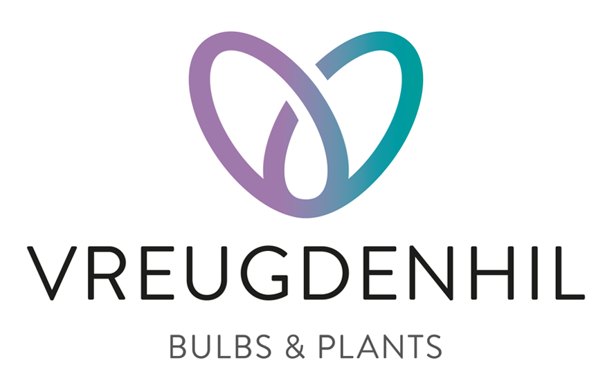 Logo test 2.png